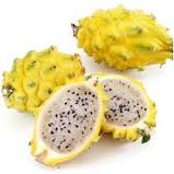 Stevita - O damasco, também conhecido como abricó, é uma fruta pequena e  arredondada, com casca e polpa amarelas, ligeiramente rosadas ou  alaranjadas. É uma fruta que pertence à mesma família do